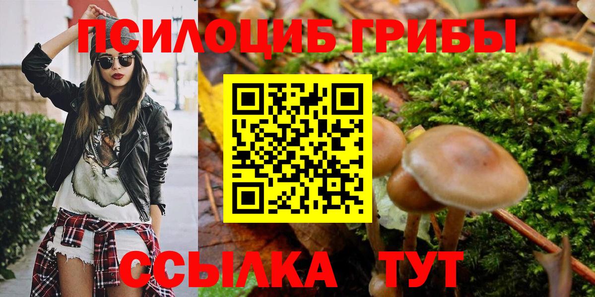 Псилоцибиновые грибы мухоморы  Вход с VPN  Лабинск 