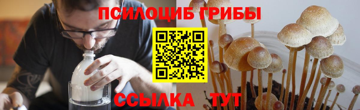 Псилоцибиновые грибы Magic Shrooms Лабинск